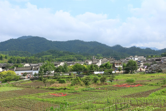 西递古村落全景图