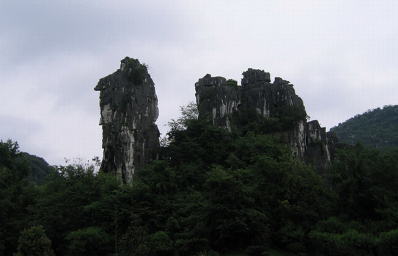 美丽驼峰