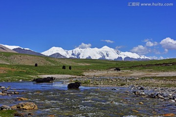 青藏高原 阿尼玛卿雪山