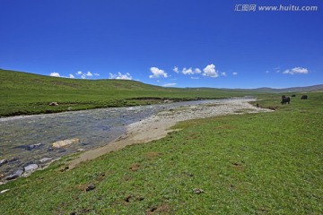 高原河流 高原溪流