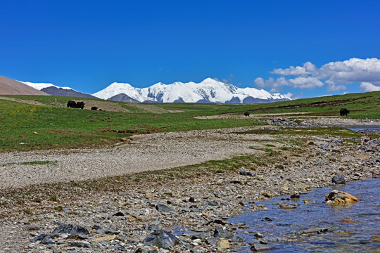 阿尼玛卿雪山