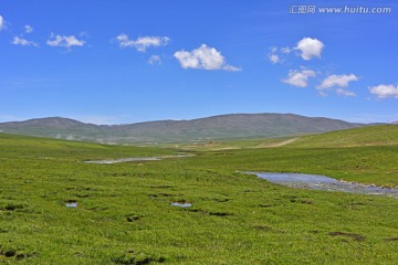 青藏高原 草原风光