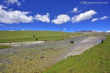 高原河流 高原溪流