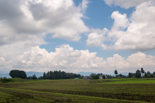 田园风景