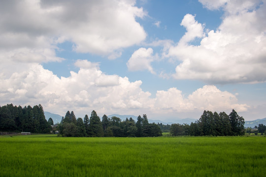 田园风景