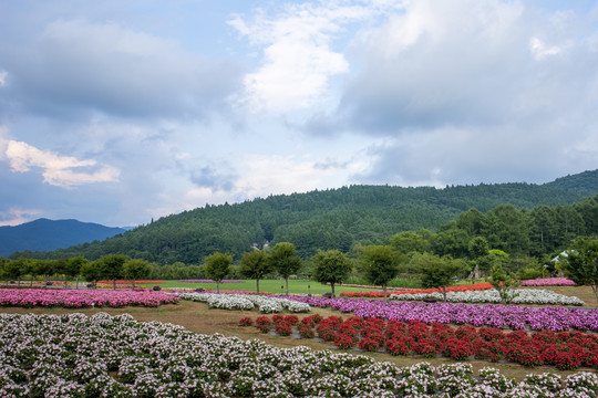 花之都公园