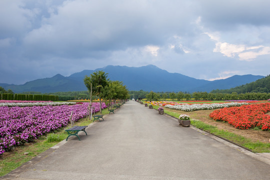 花之都公园