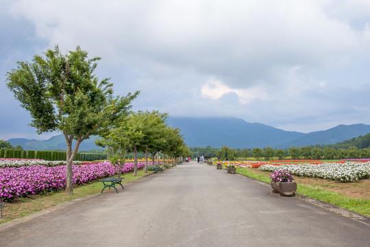 花之都公园