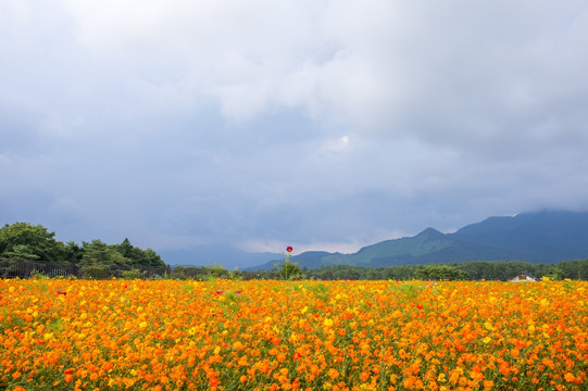 花之都公园