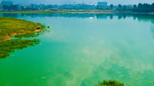 湖光掠影 湿地