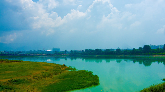 湿地 湖光掠影