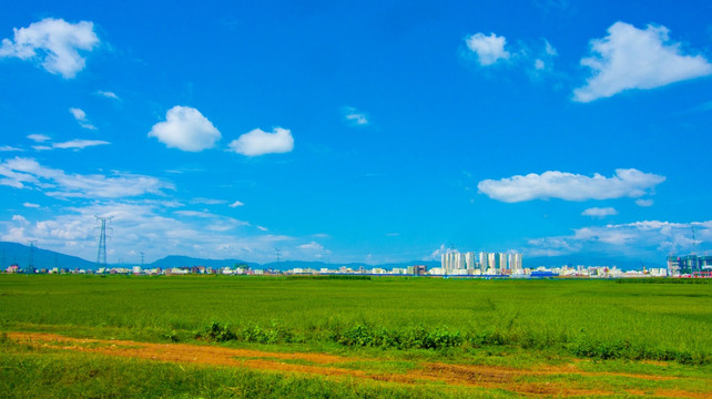 田园风光 田间小路