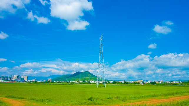 稻田 小路