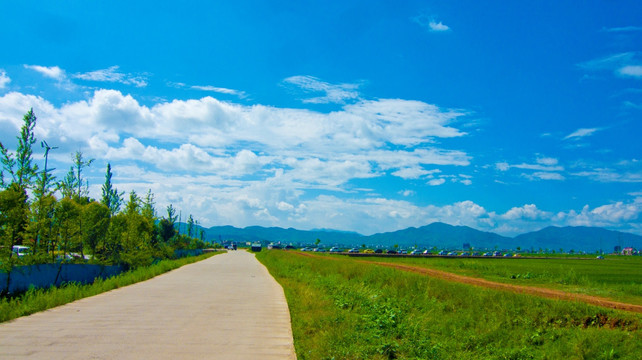 田间小路 田园风光