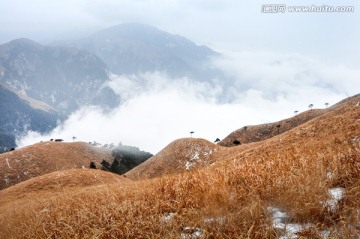 云海雾松