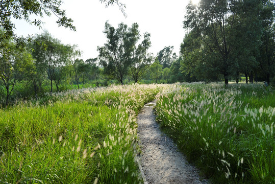 北京奥林匹克森林公园