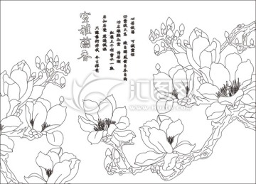 室雅蘭香玉蘭