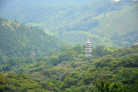 连云港花果山