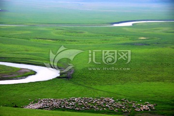 夏季草原河流羊群