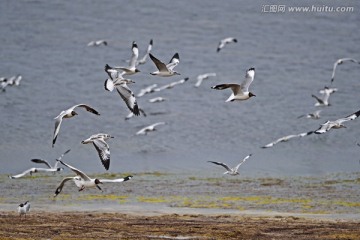 两湖一碑 自然保护区