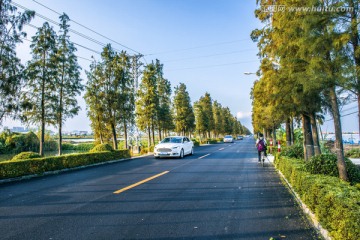 海鸥岛道路