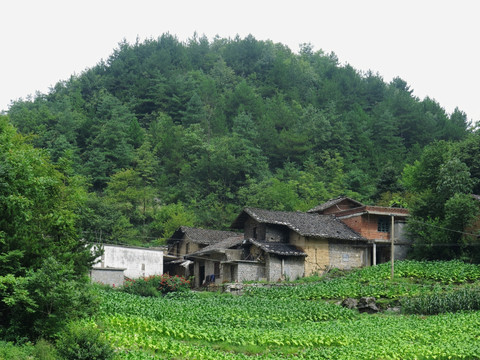 土家族乡村舍