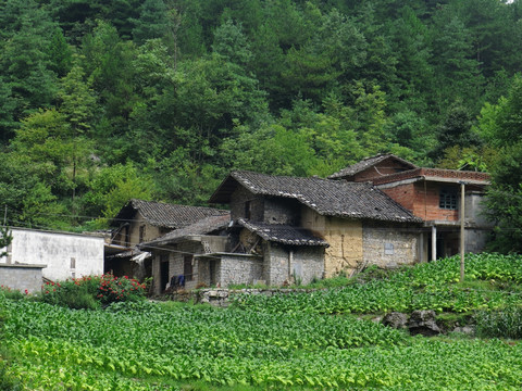 土家族乡村舍