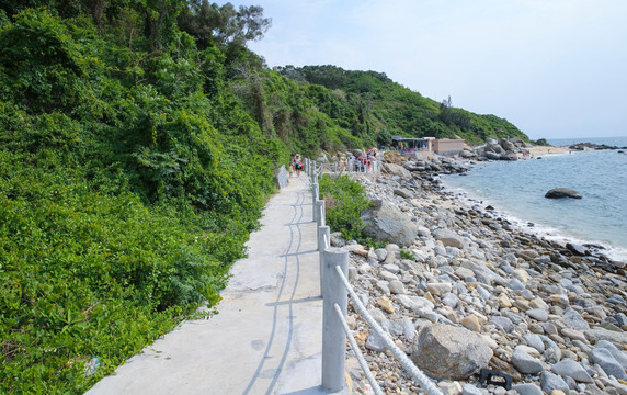 青洲岛 栈道 观景路 小道