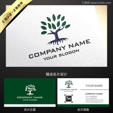 大樹logo設(shè)計(jì)