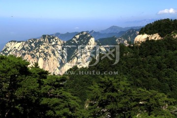 华山松林 山峰 绝壁