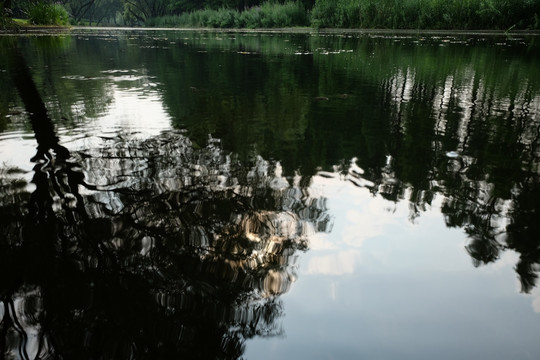 湖水 水波 湖面