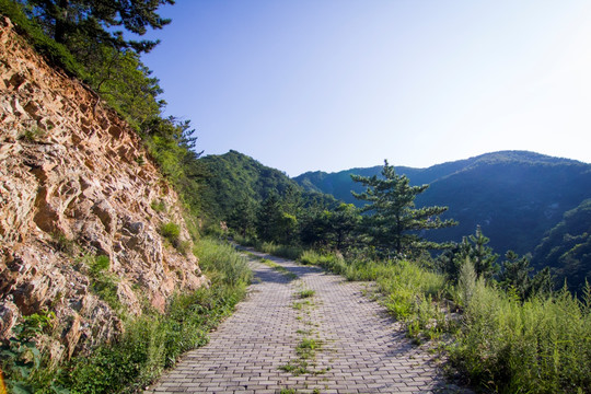 山间小路