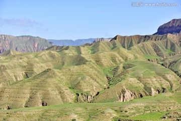 黄土高原 退耕还草