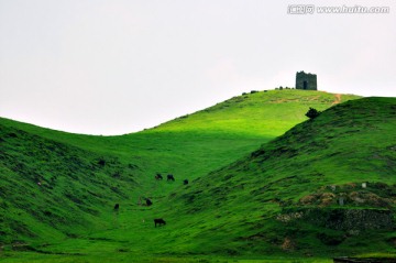 大草原景色