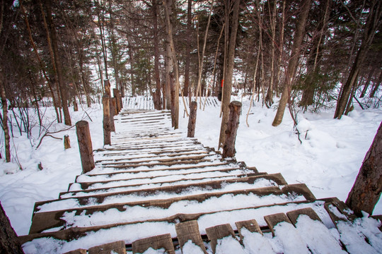 森林雪景登山步道