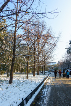 北京大学办公楼草坪雪景