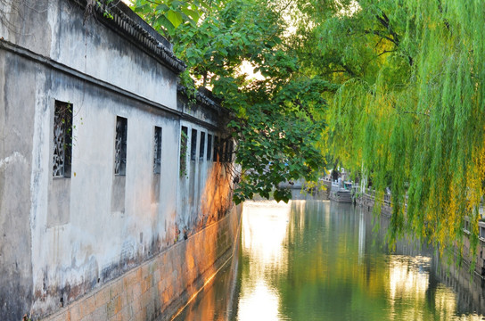 小河 围墙 垂柳 夕阳