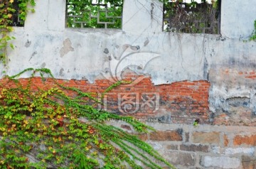 老墙 背景墙 植物墙 苏式墙壁