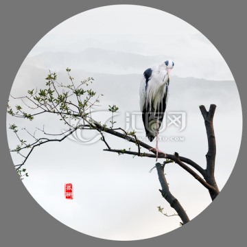 畫意 飛鳥 鳥立枝頭