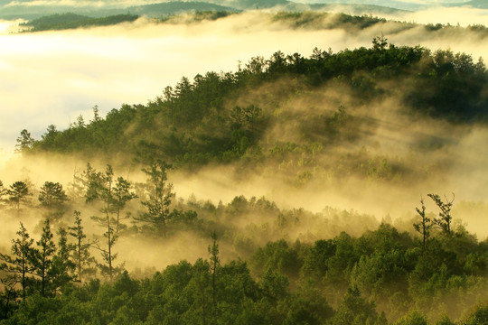 山林云海风景