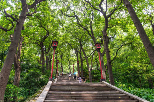 越秀山步道