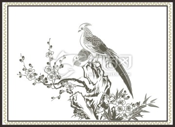 梅花山雞