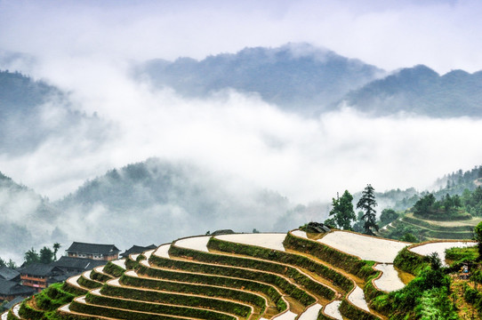 龙胜梯田