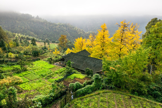 北岱底风光