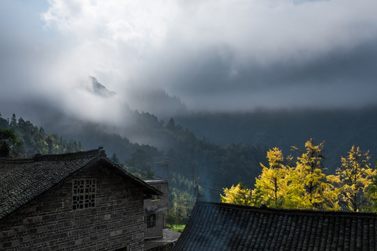 高山人家