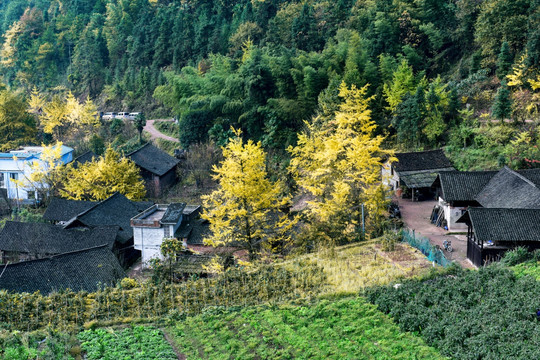 深山人家