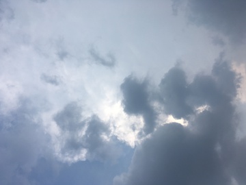 海马海豚云