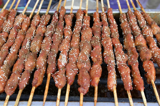 鱼肉串 鳄鱼肉