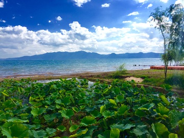 高原湖泊