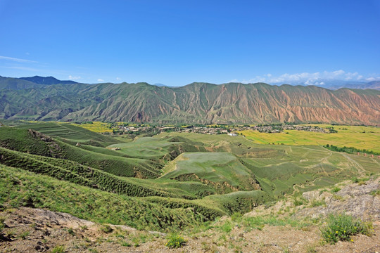 黄土高原 退耕还草